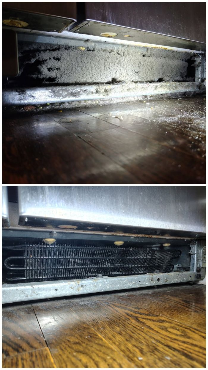 Refrigerator condenser coils: before and after cleaning