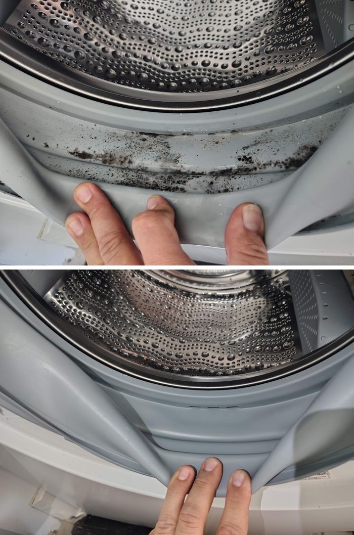 Front-load washer door gasket: moldy before, clean after