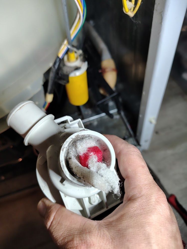 Max holding a washer drain pump filter clogged with debris